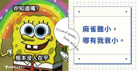 衰 梗圖|2024網友票選『毒雞湯』！18句負能量爆表語錄梗圖：「麻雀雖。